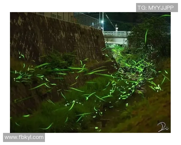 镜头捕捉：太阳赛场小动作引发热议